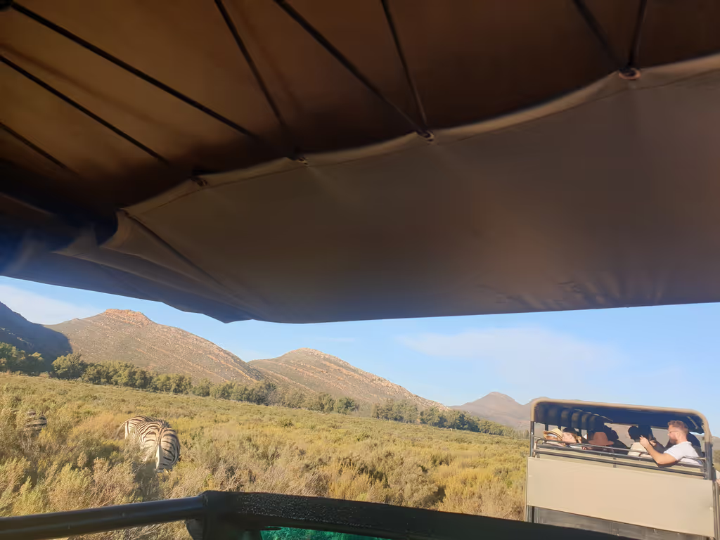 Western Cape Private Tour - 