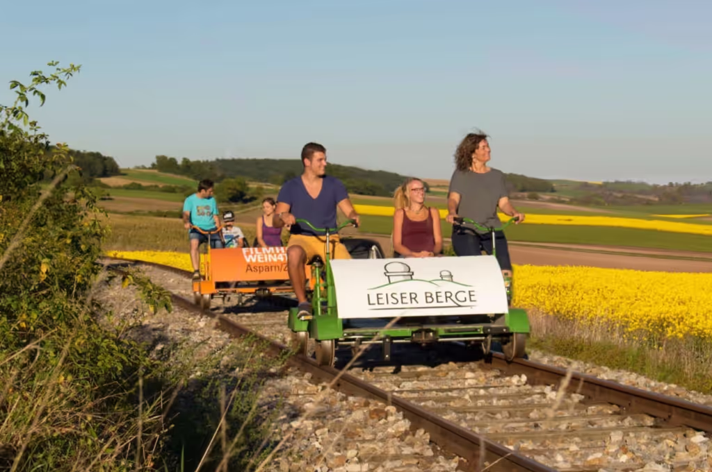 Vienna Private Tour - 