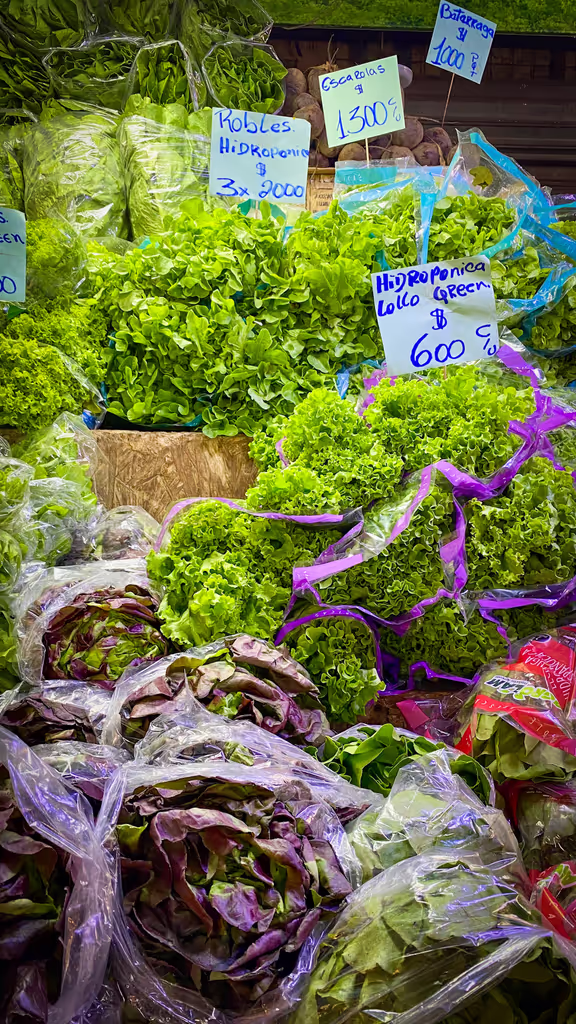 Santiago Private Tour - Market
