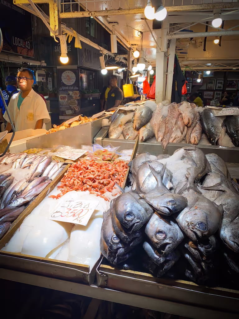 Santiago Private Tour - Pacific Ocean