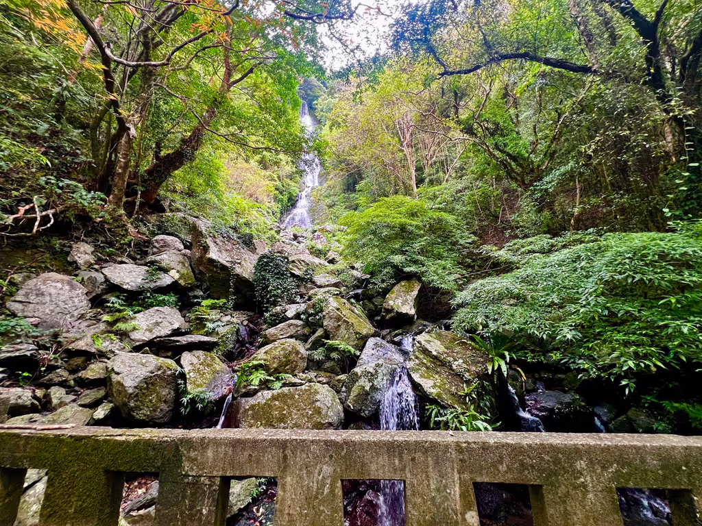 Amami Private Tour - Funangyo Waterfall