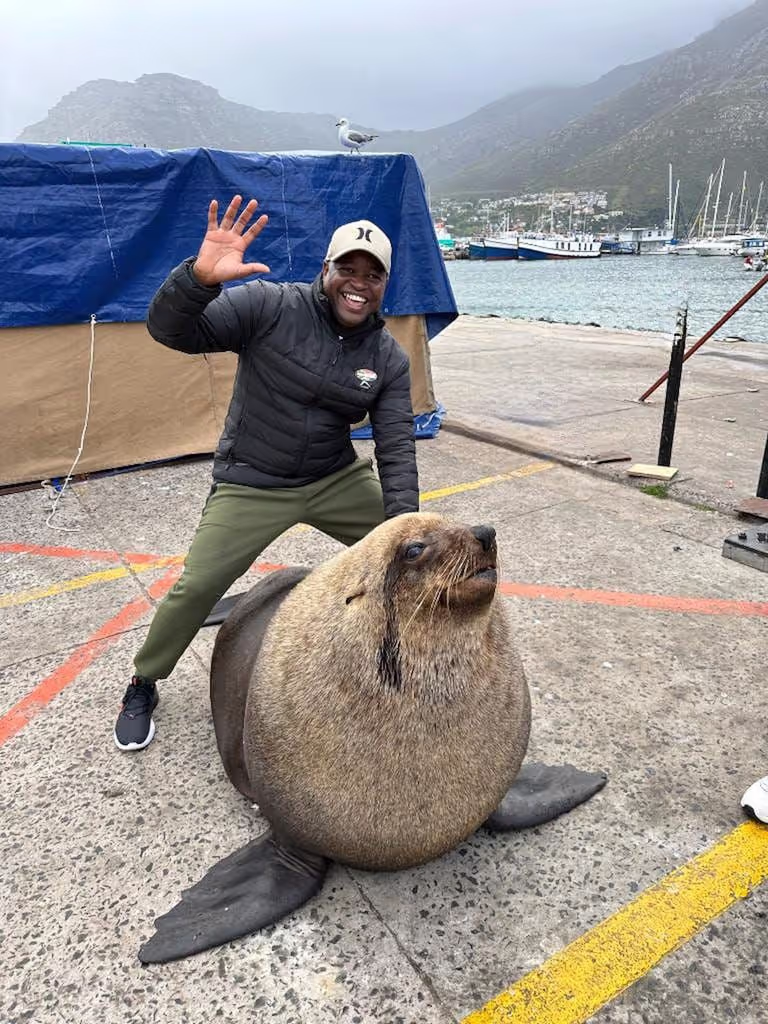 Cape Town Private Tour - 