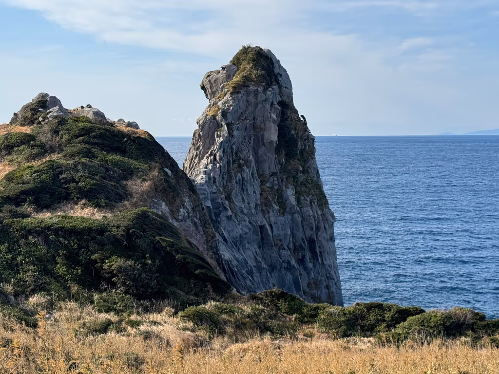 Fukuoka Private Tour - Saruiwa “Monkey Rock”