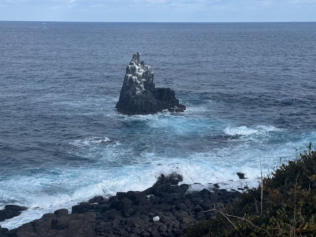 Fukuoka Private Tour - Sakyo-bana: Iki’s wild coastline