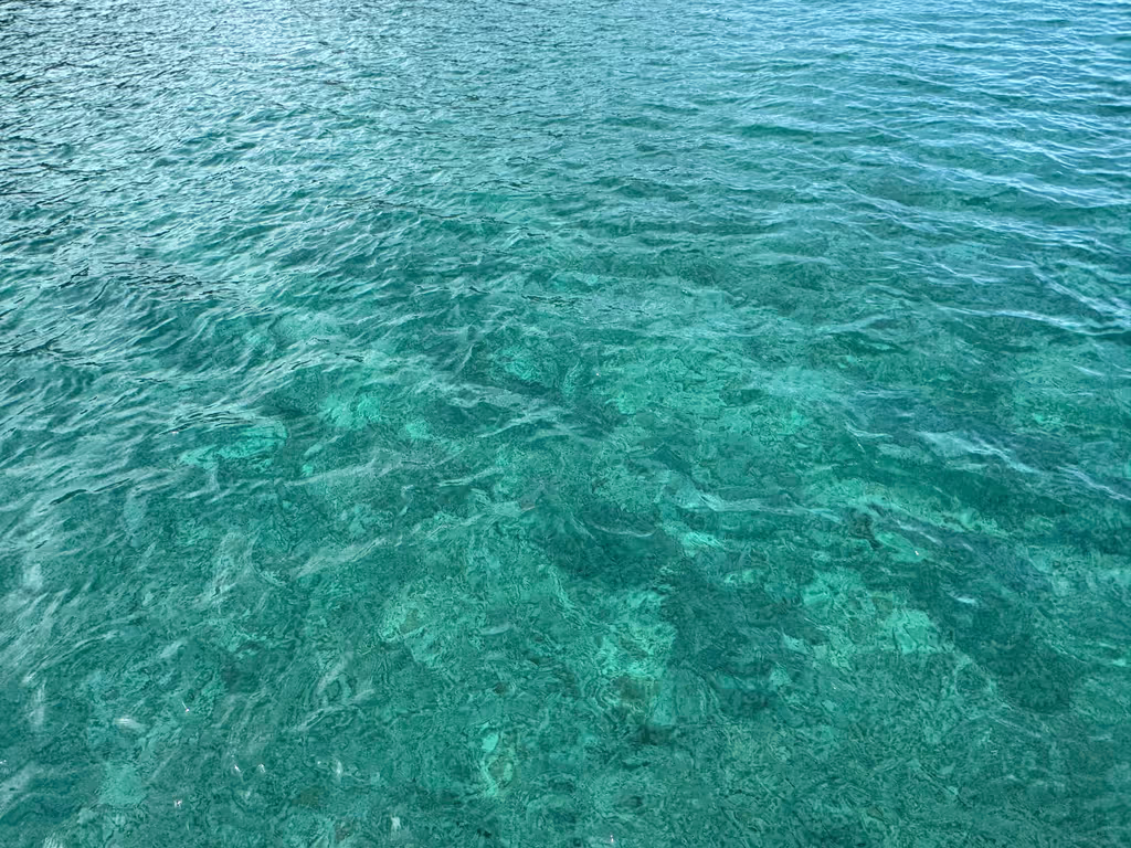 Fukuoka Private Tour - The beautiful emerald-green waters of Iki