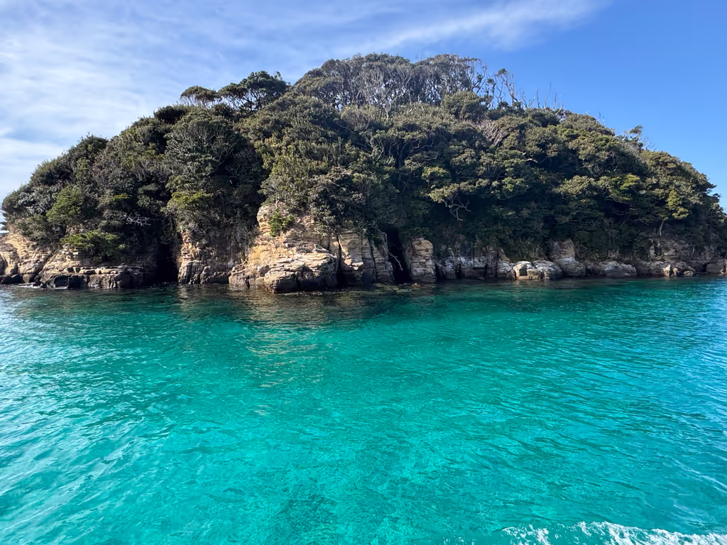 Fukuoka Private Tour - Tatsunoshima Sightseeing Cruise