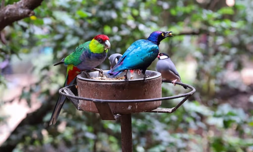 Santiago Private Tour - 