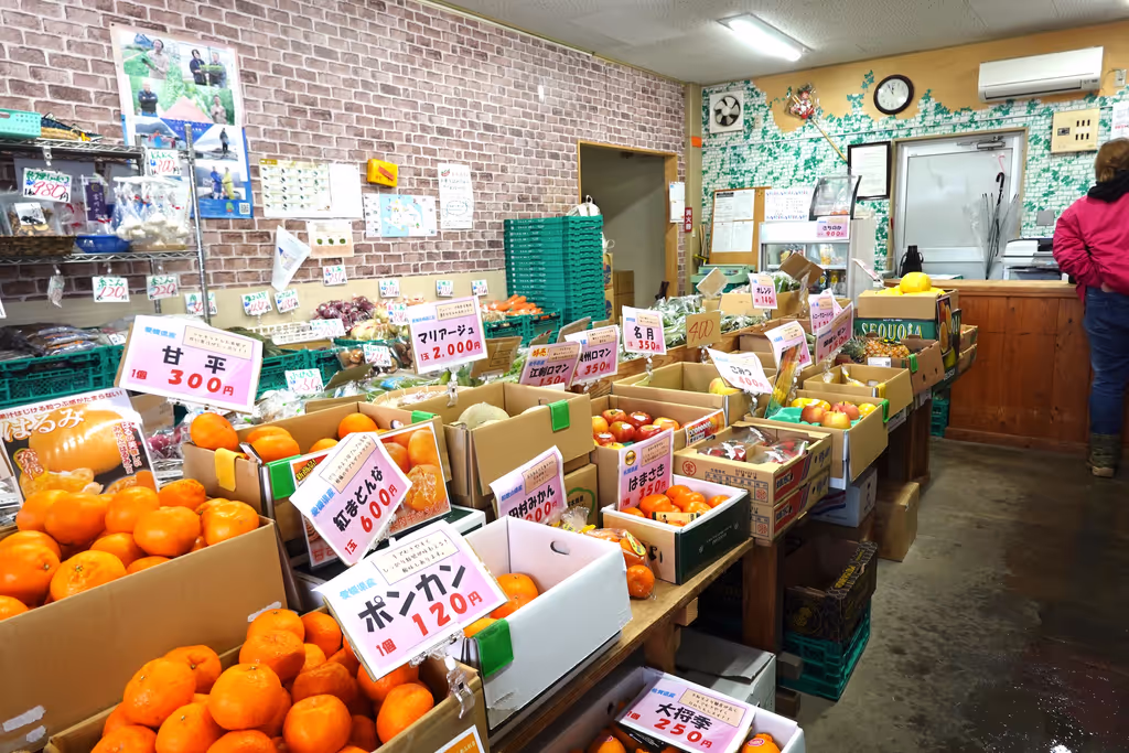Fukui Private Tour - Market