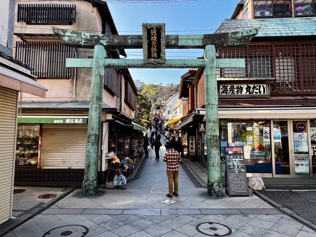 Tokyo Private Tour - Enoshima