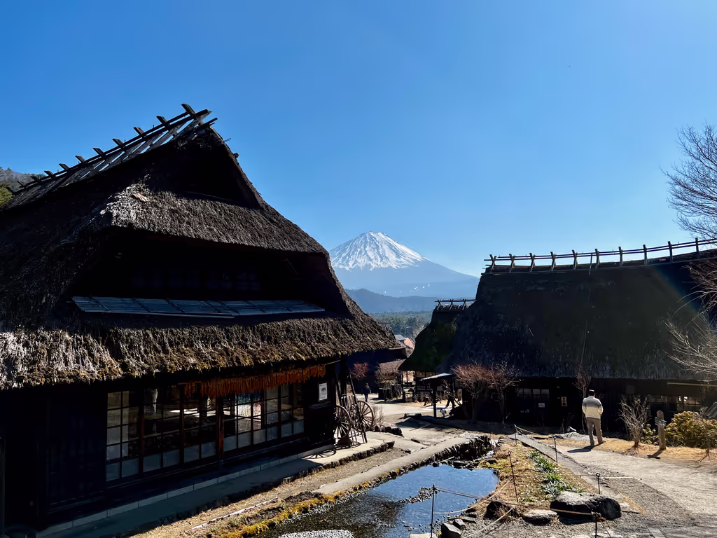 Tokyo Private Tour - Saiko Iyashi no Sato Nenba