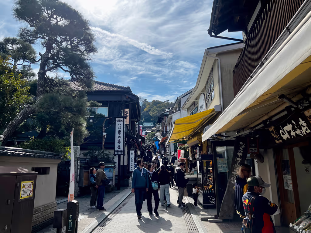 Tokyo Private Tour - Enoshima