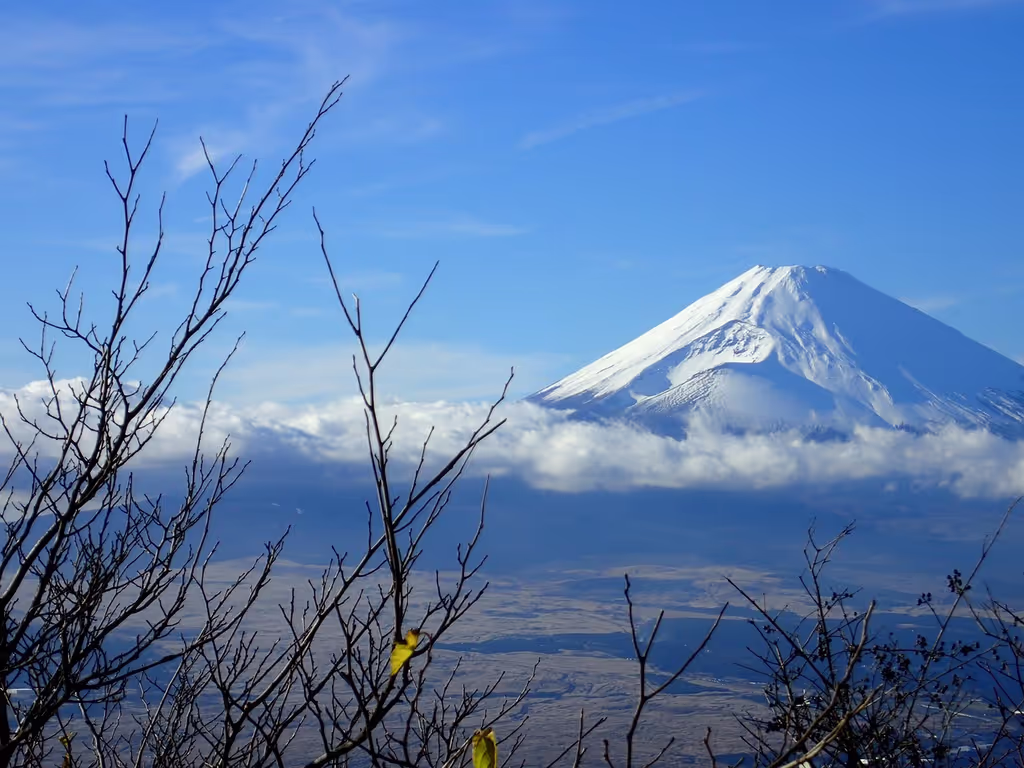 Yokohama Private Tour - Mt. Fuji