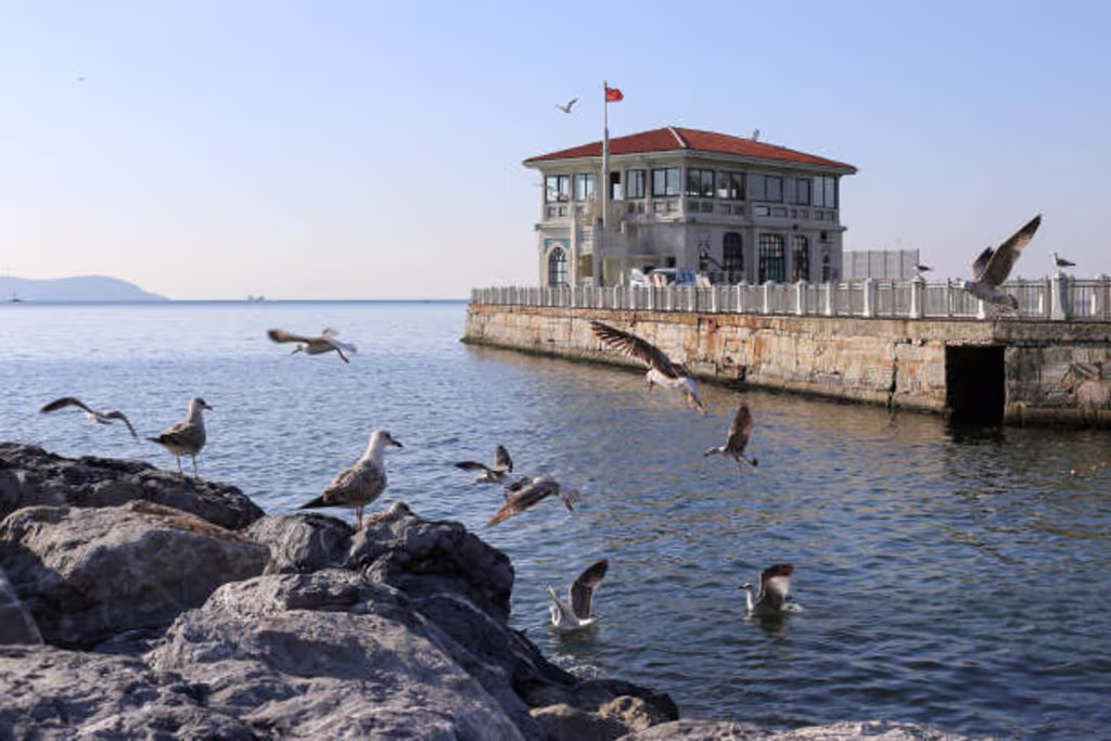 Istanbul Private Tour - Kadıköy Moda
