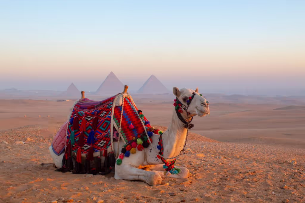 Giza Private Tour - 