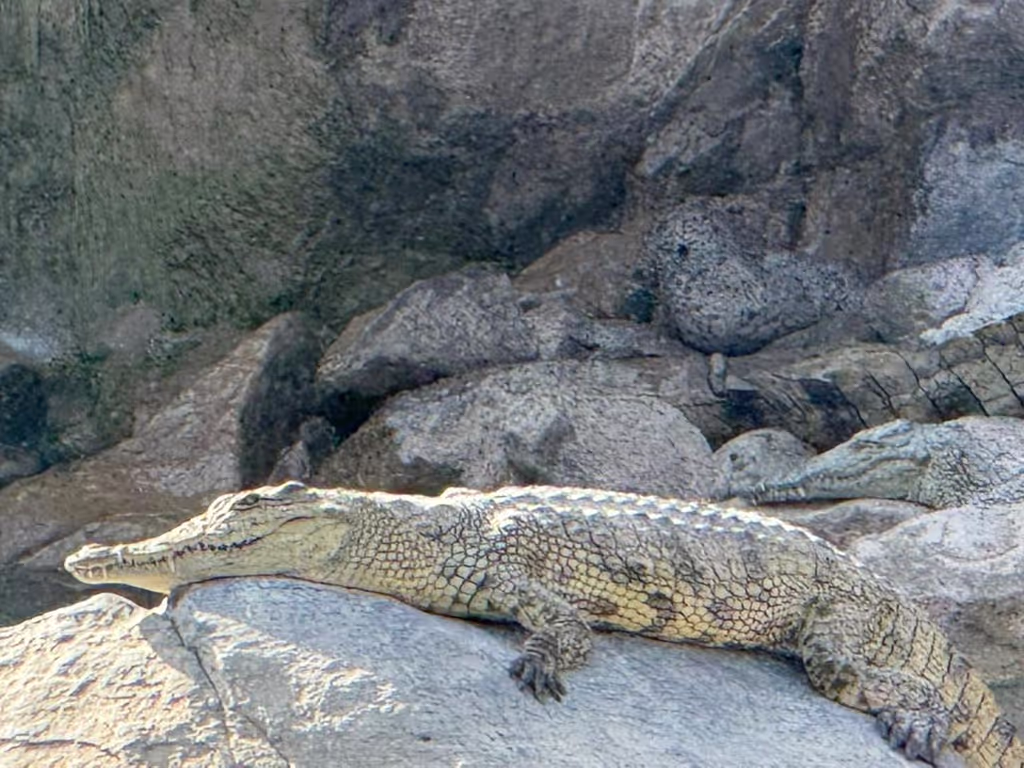 Addis Ababa Private Tour - 