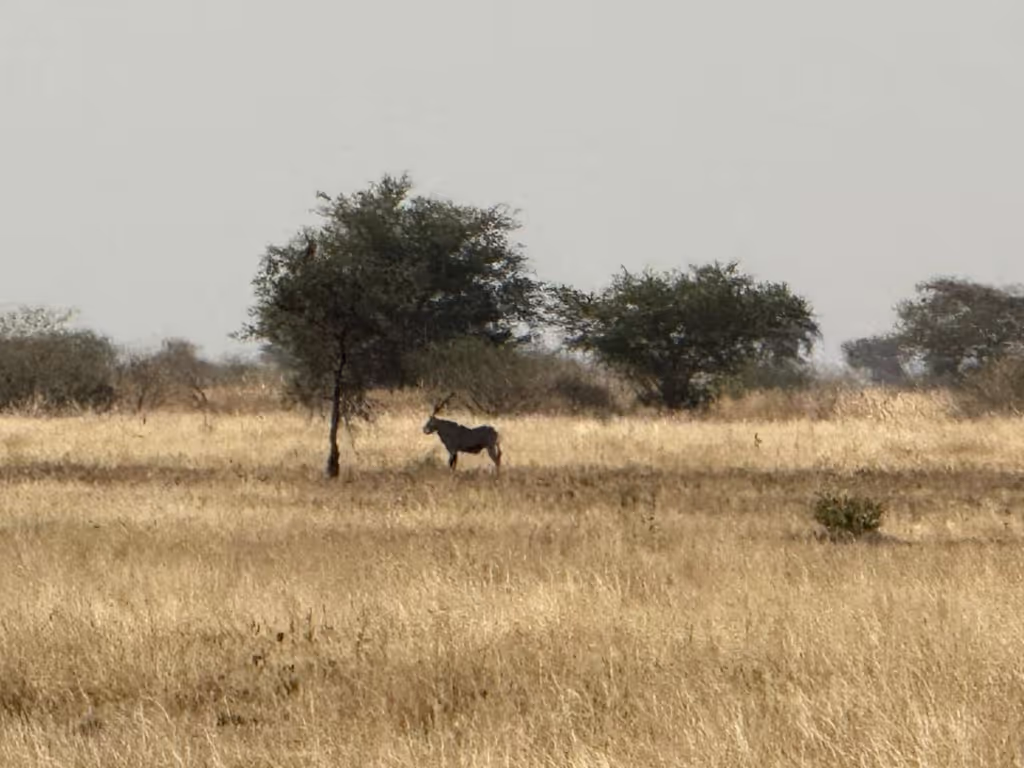 Addis Ababa Private Tour - 