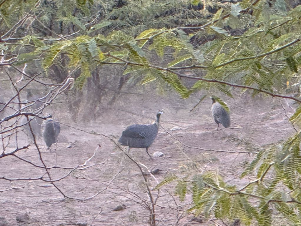 Addis Ababa Private Tour - 