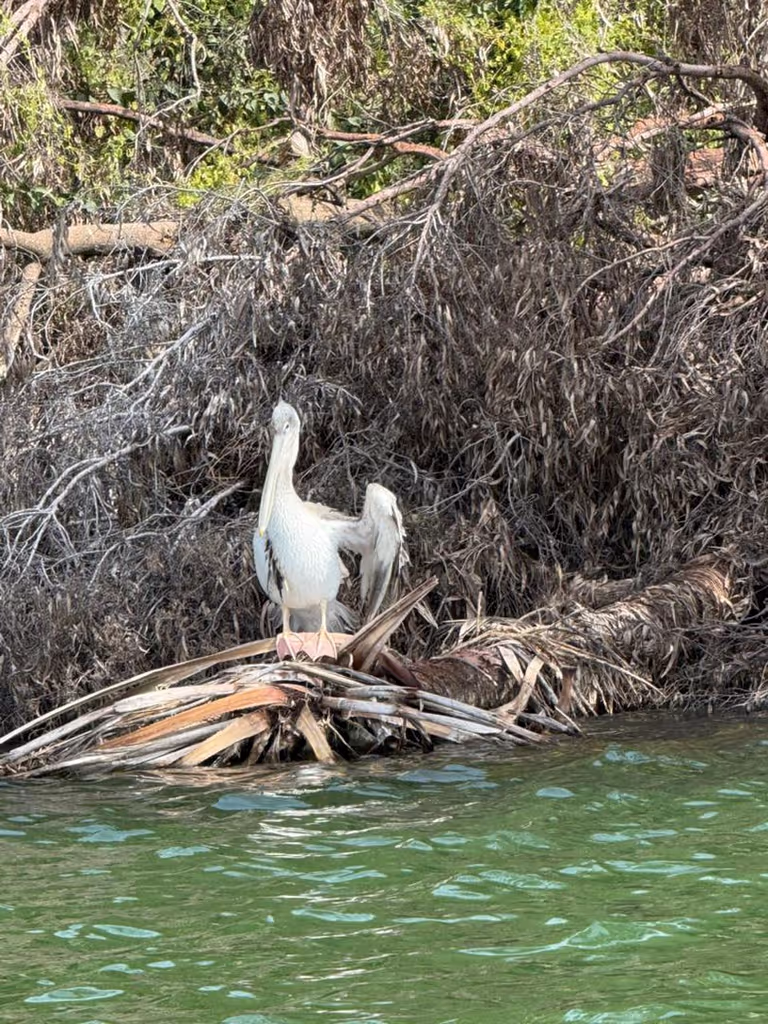 Addis Ababa Private Tour - 