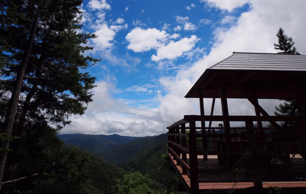 Osaka Private Tour - Gorgeous Mountain Views