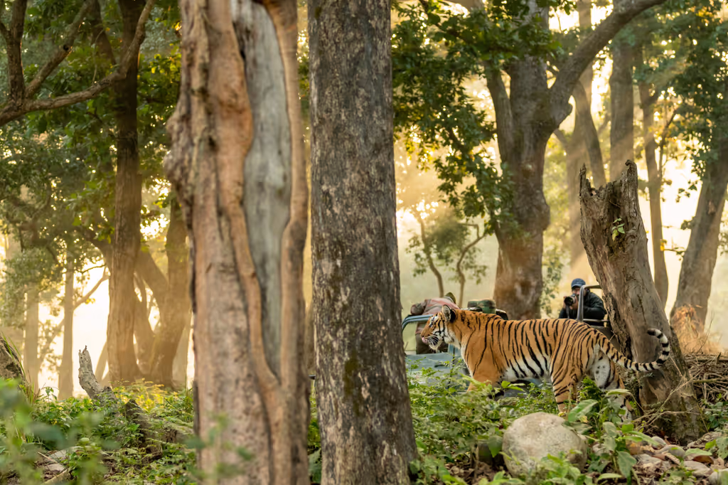 Delhi Private Tour - 
