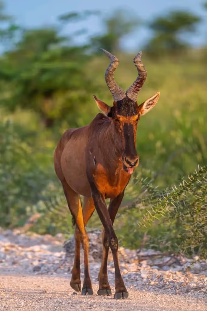 Morogoro Private Tour - EMPALLA