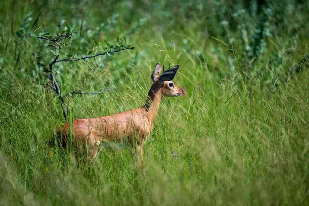 Morogoro Private Tour - EMPALLA