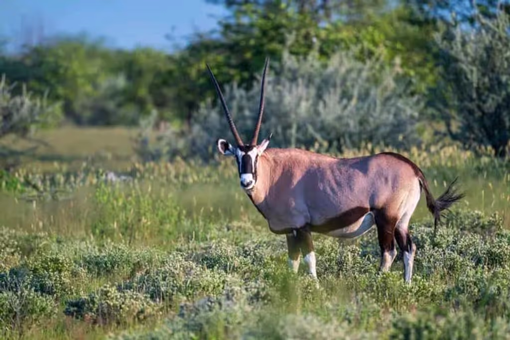 Morogoro Private Tour - EMPALLA