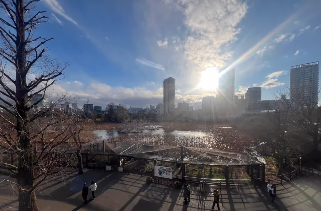 Narita Private Tour - 