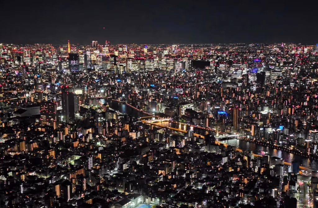 Narita Private Tour - 