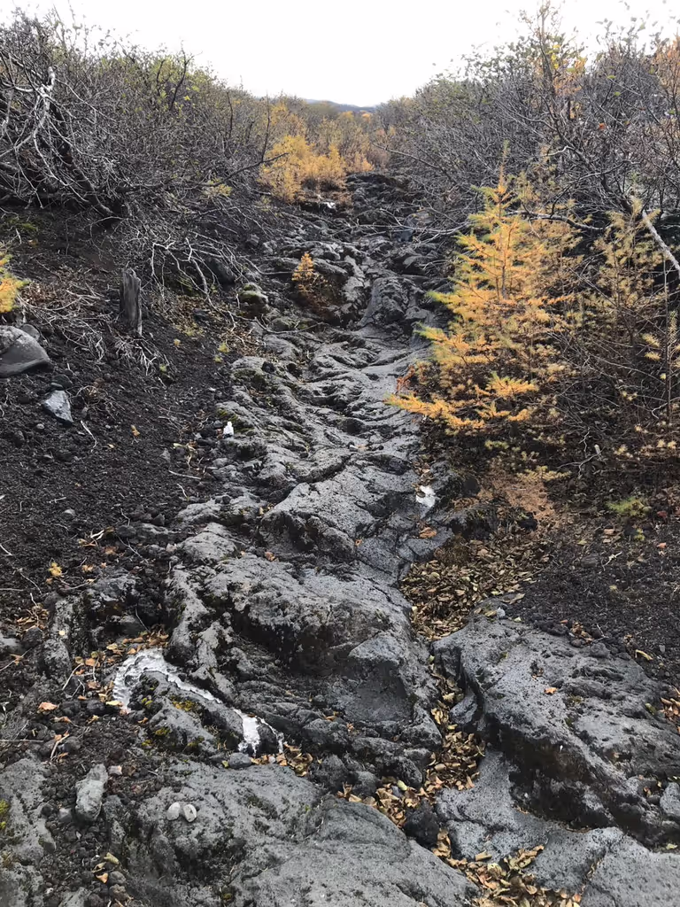 Mount Fuji Private Tour - View on Ochudo Trail