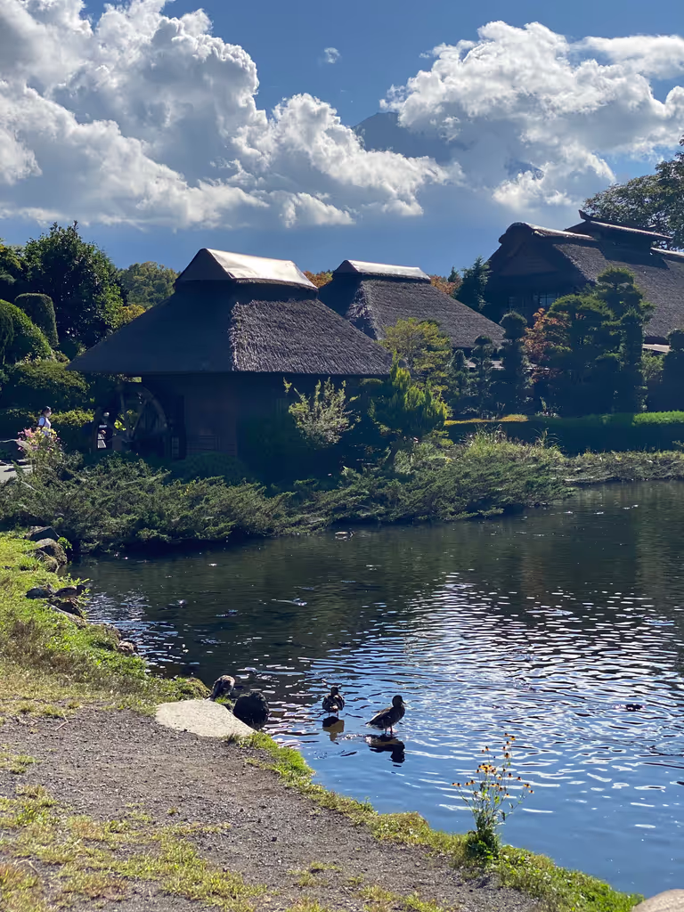 Mount Fuji Private Tour - Oshino Hakkai - 8 ponds-