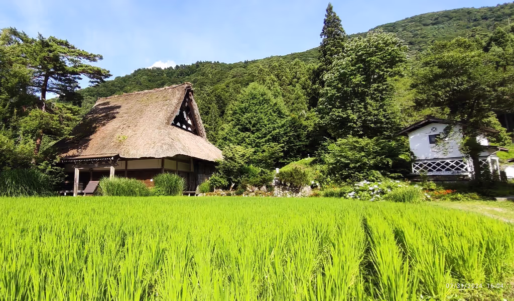 Takayama Private Tour - 