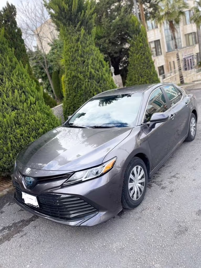 Amman Private Tour - 