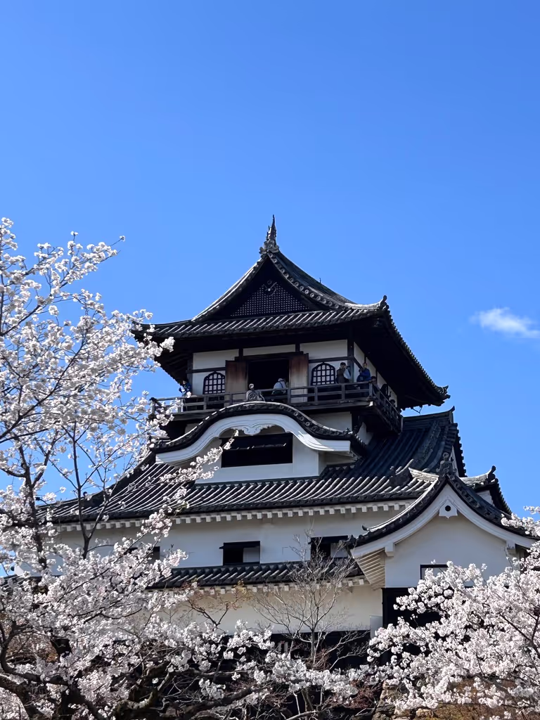 Nagoya Private Tour - 