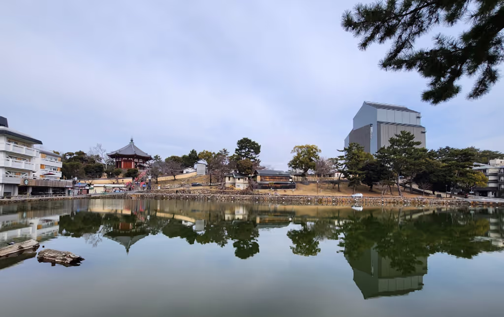 Osaka Private Tour - Sarusawaike and Kofuku-ji