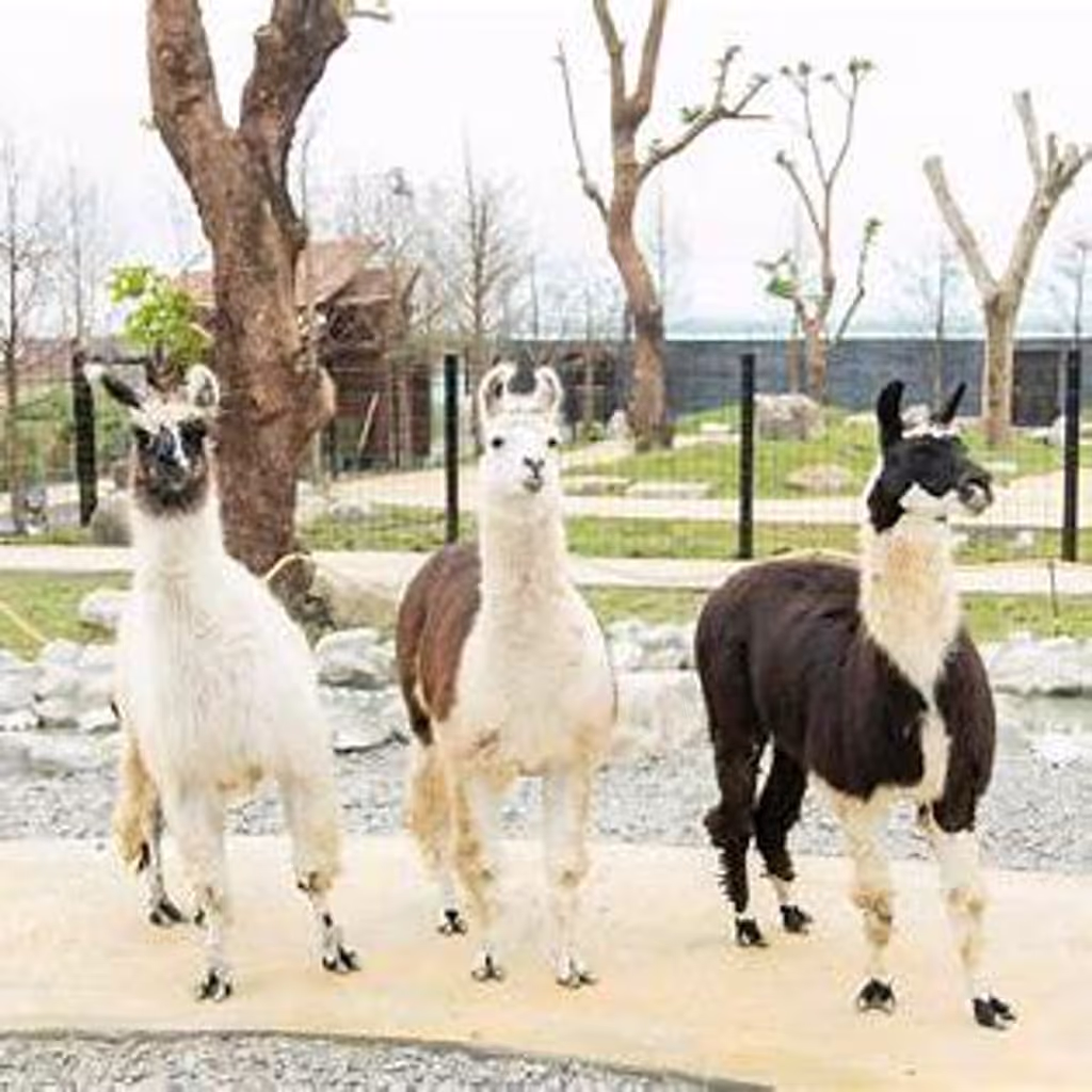 Yilan Private Tour - 