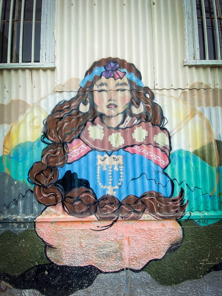 Santiago Private Tour - Street Art