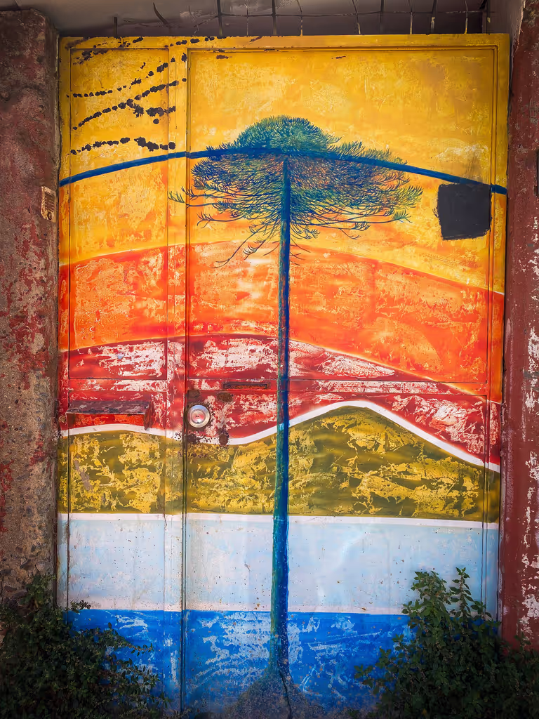 Santiago Private Tour - Street Art