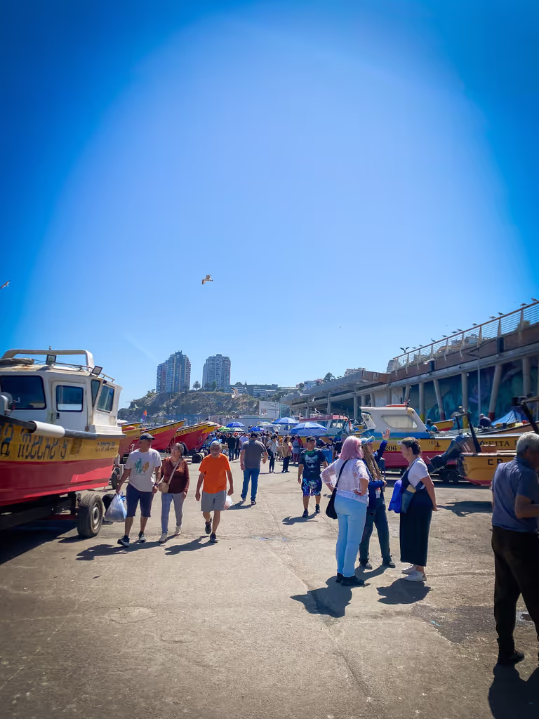 Santiago Private Tour - Valparaiso Fisherman Place