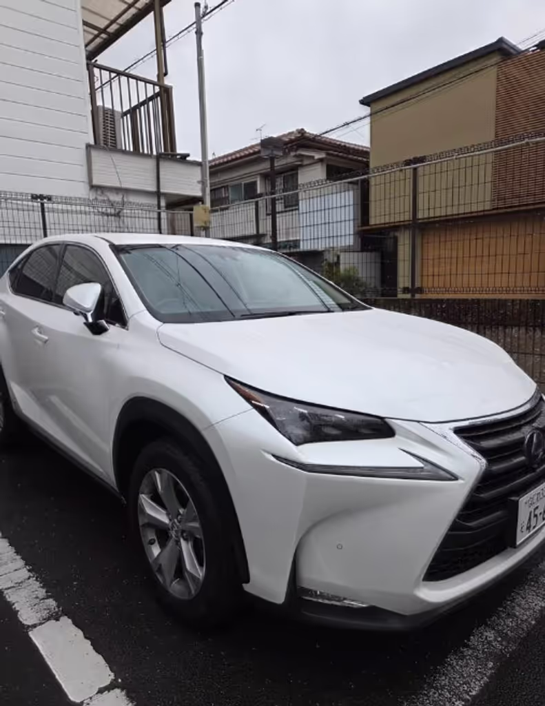 Osaka Private Tour - 