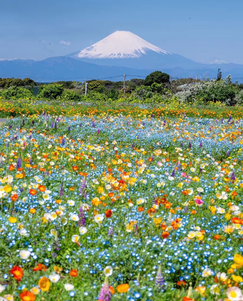 Narita Private Tour - 