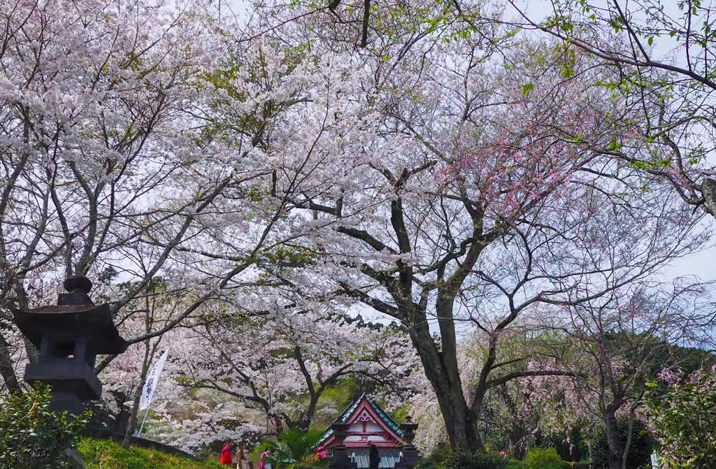 Narita Private Tour - 