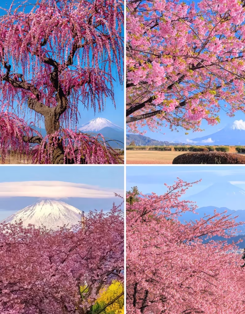 Narita Private Tour - 