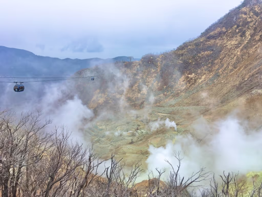 Hakone Private Tour - Owakudani volcanic valley w/ropeway