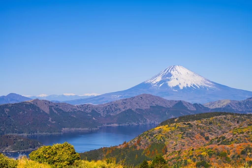 Hakone Private Tour - Lake Ashi and mountains view from the observatory