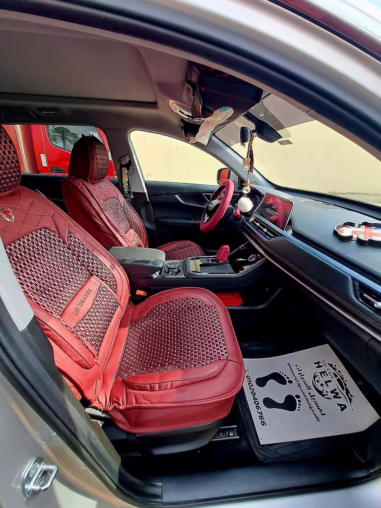 Giza Private Tour - our car