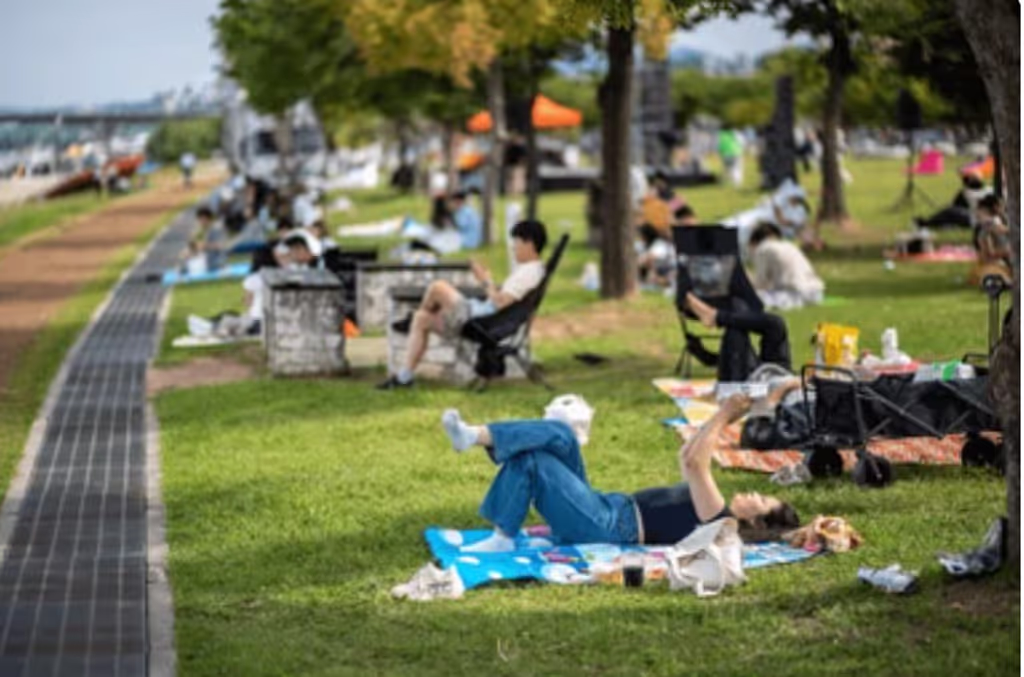 Seoul Private Tour - Picnic