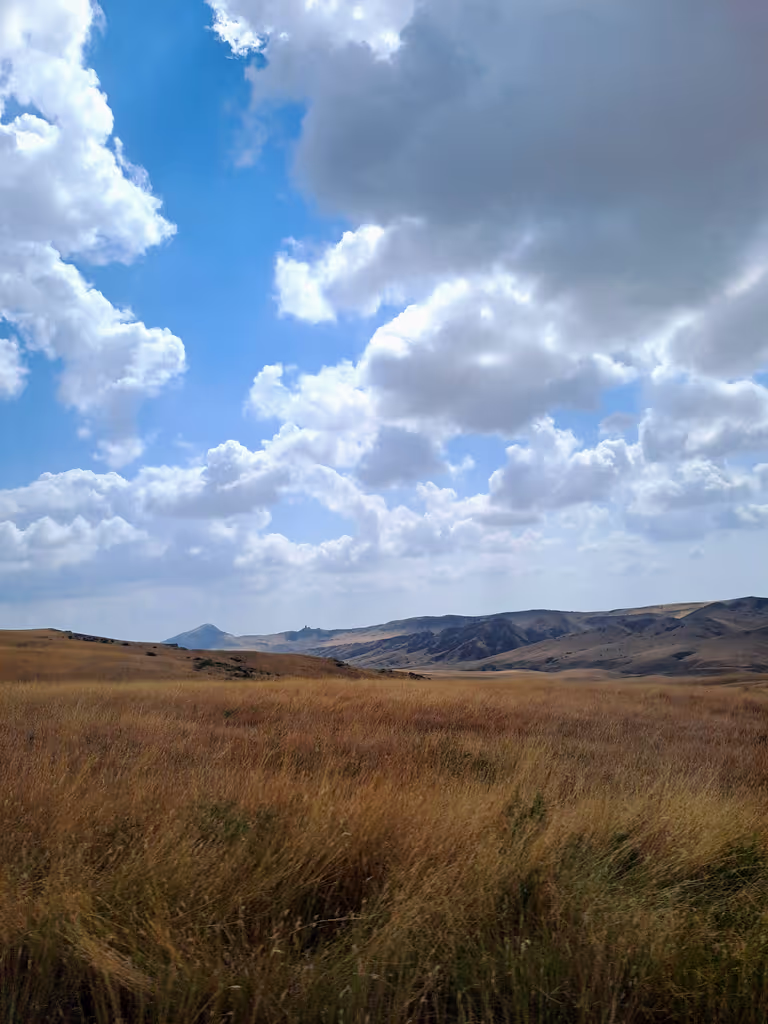 Tbilisi Private Tour - 