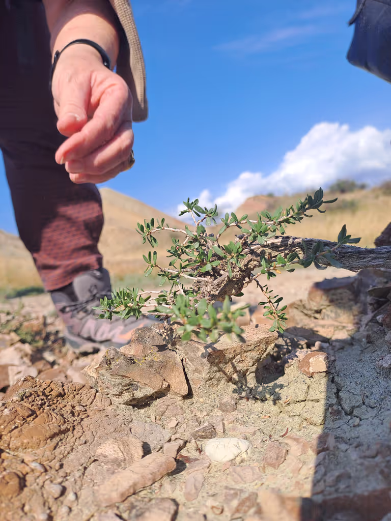 Tbilisi Private Tour - 