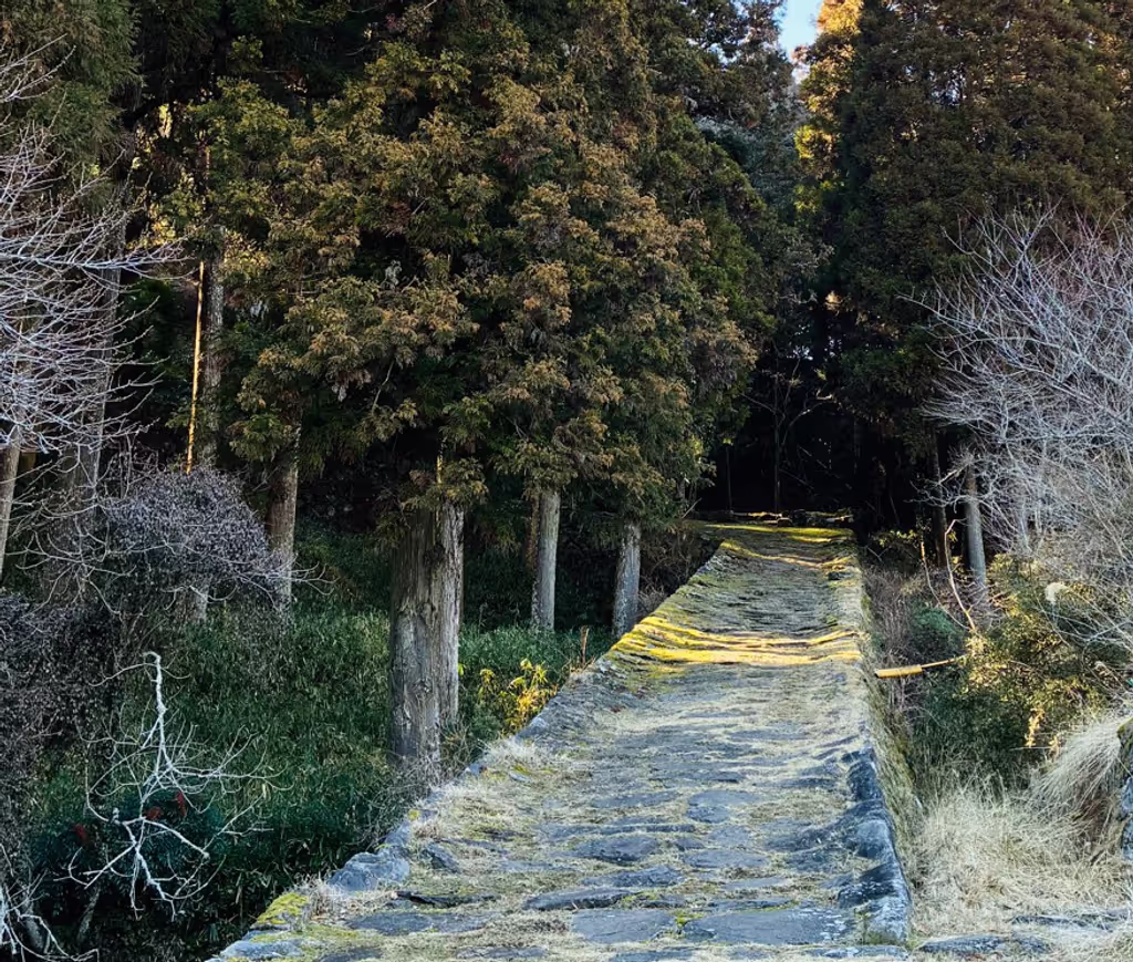 Oita Private Tour - Tsunomure Walking Path